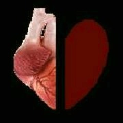 Heartsplit