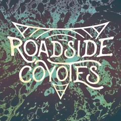 Roadside Coyotes