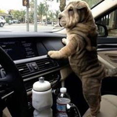 Nguyễn Văn Thắng