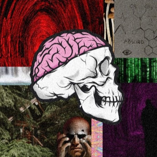 Brain’s avatar