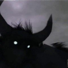 𝔇𝔬𝔯𝔪𝔦𝔫