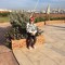 Nermin El Foully