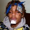 D_dothoncho