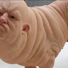 jorge