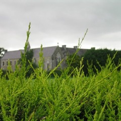 Ó Conaill Family and Friends