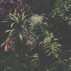 Stillpoint