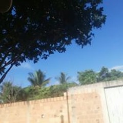 User 369919981
