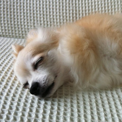 wanwan20011124