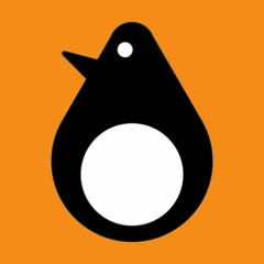 Penguin Eggs