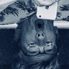 Jubbipuss