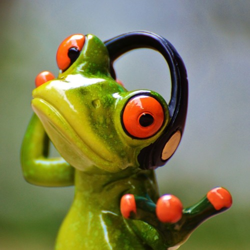 Paranoid Frog’s avatar