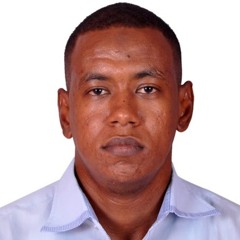 Mahmoud Hamad