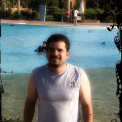Hany Elnaggar