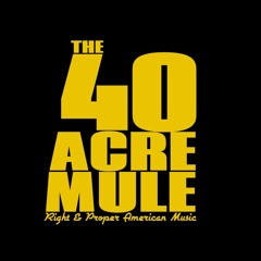 The 40 Acre Mule