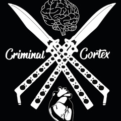 Criminal Cortex