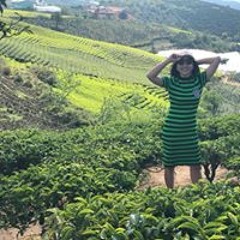 Ha Thi Kim Ngo