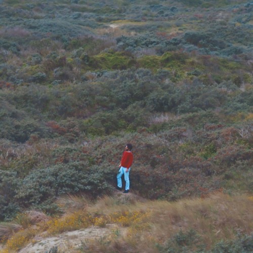 Stream Sea (Peoples) music Listen to songs, albums, playlists for