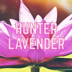 Hunter Lavender