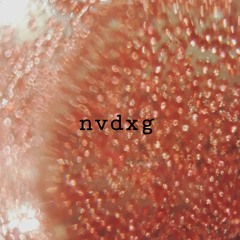nvdxg