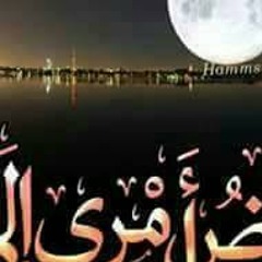 Salah Sayed