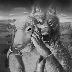 Blacksheepmatrix