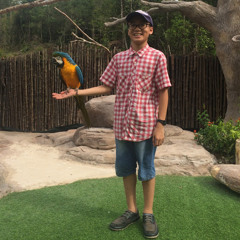 Tue Phong Tong