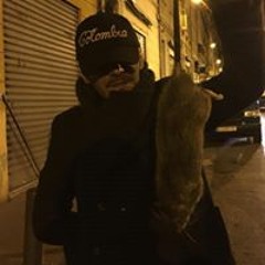 Paulo Licona