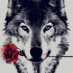 User 214683028