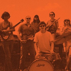 The Delicates