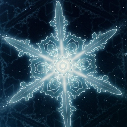 snowflake’s avatar