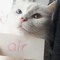 air