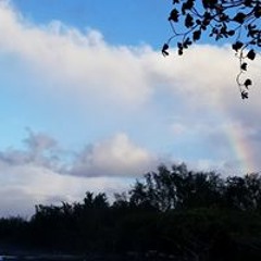 Tata Tallula Alullat