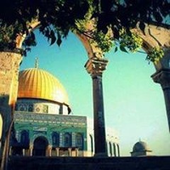 يا ثرى أرضي تفجر