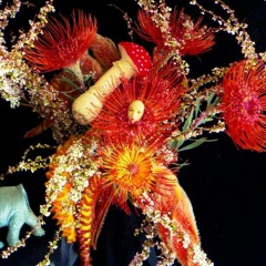 Sensual Flower
