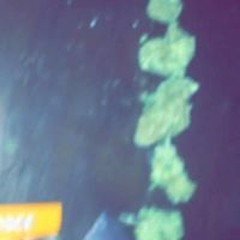 NAYBORHKOOD CRIP 90