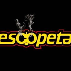 escopeta mx