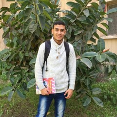 Mahmoud S. Halawa