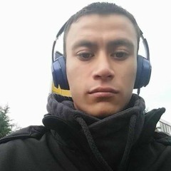 L2e Bradley