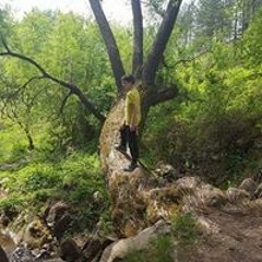 Алекс Бъчваров