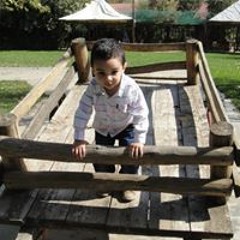 Rami Nael