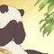 ＰＡＮＤＡ 熊猫