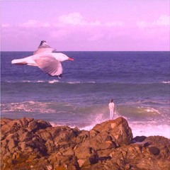 IDK Seagull