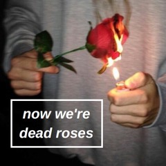 Dead Roses