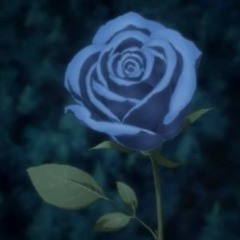 _rose_