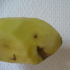 asutartine