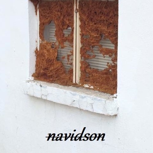 navidson’s avatar