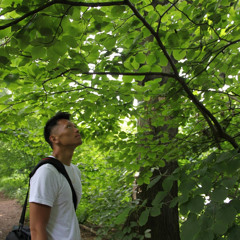 joseph lin