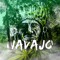 Navajo Instrumentals©