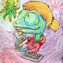 Doodz