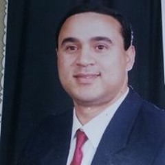 عبدالعزيز المغاورى